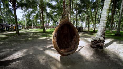 Bird-nest-swing-is-moving-in-coconut-farm.
